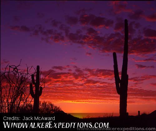 Arizona sunset